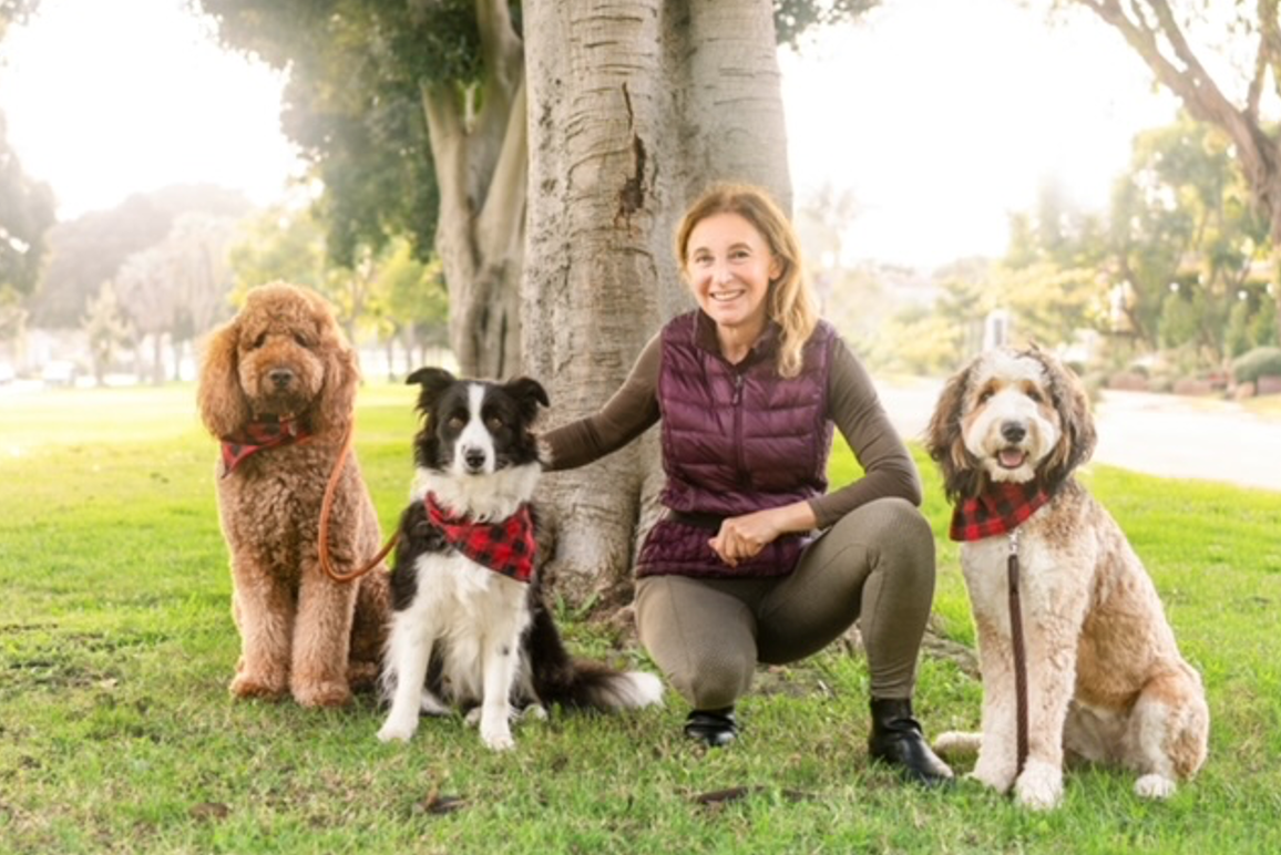 Education canine Californie